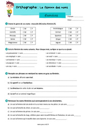 Le féminin des noms - Exercices d'orthographe : 5eme Primaire - PDF à imprimer
