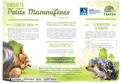 Petits mammifères - Affiche - Texte Argumentatif : 3eme Primaire - PDF à imprimer