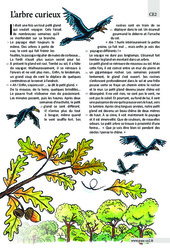 L’arbre curieux - Récit - Lecture : 3eme Primaire - PDF à imprimer