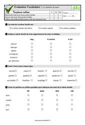 Les familles de mots - Examen Evaluation- Fiches QCM - Quiz : 2eme Primaire - PDF à imprimer