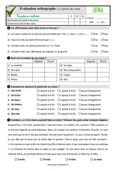 Le pluriel des noms - Examen Evaluation- Fiches QCM - Quiz  : 3eme Primaire - PDF à imprimer