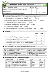 Homophones - Fiches Nom ou verbe ? - Examen Evaluation- Fiches QCM - Quiz  : 5eme Primaire - PDF à imprimer