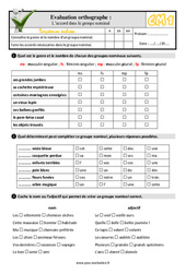 L’accord dans le groupe nominal - Examen Evaluation- Fiches QCM - Quiz  : 4eme Primaire - PDF à imprimer