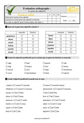 Le genre des adjectifs - Examen Evaluation- Fiches QCM - Quiz : 4eme Primaire - PDF à imprimer