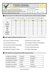 Le genre et le nombre de l’adjectif - Examen Evaluation- Fiches QCM - Quiz  : 4eme Primaire - PDF à imprimer