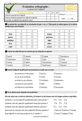 Le pluriel de l’adjectif - Examen Evaluation- Fiches QCM - Quiz  : 4eme Primaire - PDF à imprimer