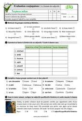 Le féminin des adjectifs - Examen Evaluation- Fiches QCM - Quiz : 3eme Primaire - PDF à imprimer