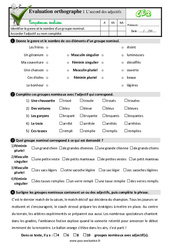 L’accord des adjectifs - Examen Evaluation- Fiches QCM - Quiz : 3eme Primaire - PDF à imprimer