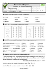 Le féminin des adjectifs qualificatifs - Examen Evaluation- Fiches QCM - Quiz  : 5eme Primaire - PDF à imprimer