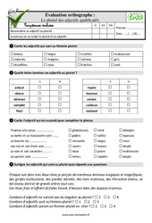 Le pluriel des adjectifs qualificatifs - Examen Evaluation- Fiches QCM - Quiz  : 5eme Primaire - PDF à imprimer