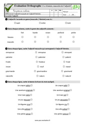 Le féminin, masculin de l’adjectif - Examen Evaluation- Fiches QCM - Quiz : 2eme Primaire - PDF à imprimer