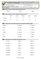 Le singulier, pluriel de l’adjectif - Examen Evaluation- Fiches QCM - Quiz : 2eme Primaire - PDF à imprimer