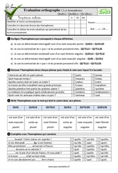 Les homophones grammaticaux Quel(s) / Quelle(s) / Qu’elle(s) - Fiches  - Examen Evaluation- Fiches QCM - Quiz : 5eme Primaire - PDF à imprimer