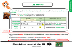 Les articles - Examen Evaluation et bilan  avec le corrigé : 5eme Primaire - PDF à imprimer