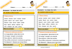 Identifier et utiliser les verbes - Examen Evaluation progressive  : 2eme Primaire - PDF à imprimer
