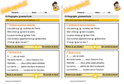 Ecrire sans erreur les homophones a / à - Examen Evaluation progressive : 2eme Primaire - PDF à imprimer
