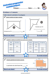 Calculer le périmètre d’un polygone - Examen Evaluation progressive : 5eme Primaire - PDF à imprimer