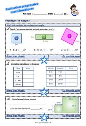Comparer et mesurer des aires - Examen Evaluation progressive : 5eme Primaire - PDF à imprimer