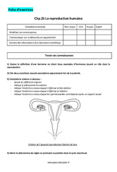 La reproduction humaine - Exercices corrigés : 1ere Secondaire - PDF à imprimer