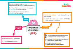 Phrase simple et phrase complexe - Vidéo pédagogique interactive : 3eme, 4eme, 5eme Primaire - PDF à imprimer