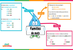 La famille des mots - Vidéo pédagogique interactive : 3eme, 4eme, 5eme Primaire - PDF à imprimer