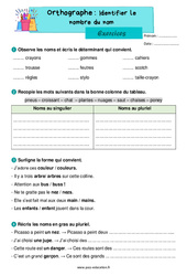 Identifier le nombre du nom - Exercices d'orthographe : 2eme Primaire - PDF à imprimer