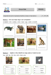 Evaluation - Période 4 - Anglais - Doggy , Foxy - My English Pass : 2eme Primaire - PDF à imprimer