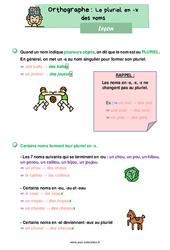 Le pluriel en - x des noms - Cours, Leçon d'orthographe : 2eme Primaire - PDF à imprimer