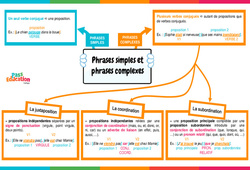 Phrases simples et phrases complexes - Vidéo pédagogique interactive + Carte mentale -  : 1ere, 2eme, 3eme Secondaire