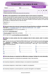 Les natures de mots - Examen Evaluation avec la correction : 1ere Secondaire - PDF à imprimer