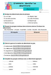 Identifier les déterminants - Exercices de grammaire : 2eme Primaire - PDF à imprimer