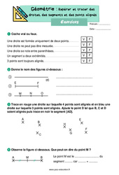 Repérer et tracer des droites, des segments et des points alignés - Exercices : 2eme Primaire - PDF à imprimer