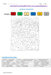 Homophones - Coloriage magique : 5eme Primaire - PDF à imprimer