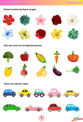 Fleurs et légumes - Les couleurs - Vocabulaire : 1ere, 2eme Maternelle - Cycle Fondamental - PDF à imprimer