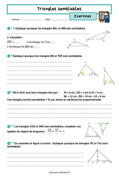 Triangles semblables - Exercices avec les corrigés : 3eme Secondaire - PDF à imprimer