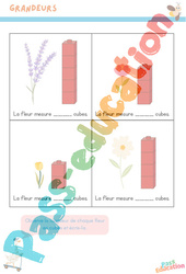 Mesure la fleur en cubes - Grandeurs - Printemps : 2eme Maternelle - Cycle Fondamental - PDF à imprimer