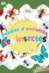 Les insectes - Fichier d'activités : 3eme Maternelle - Cycle Fondamental - PDF à imprimer