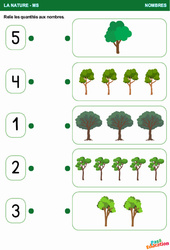 Les arbres - La nature - Nombres : 2eme Maternelle - Cycle Fondamental - PDF à imprimer