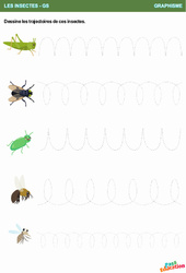 Les trajectoires de ces insectes - Graphisme : 3eme Maternelle - Cycle Fondamental - PDF à imprimer
