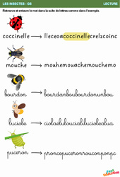 La suite de lettres - Les insectes - Lecture : 3eme Maternelle - Cycle Fondamental - PDF à imprimer