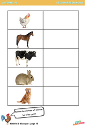 Les animaux de la ferme - Explorer le monde en maternelle : 1ere Maternelle - Cycle Fondamental - PDF à imprimer