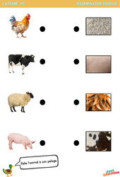 L'animal à son pelage - La ferme - Discrimination visuelle : 1ere Maternelle - Cycle Fondamental - PDF à imprimer