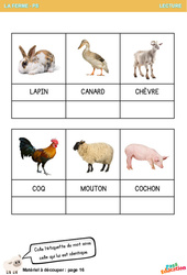 Les animaux de la ferme - Lecture : 1ere Maternelle - Cycle Fondamental - PDF à imprimer