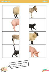 Associe les paires - La ferme - Logique : 1ere Maternelle - Cycle Fondamental - PDF à imprimer