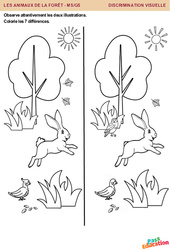 Les animaux de la forêt - Discrimination visuelle : 2eme, 3eme Maternelle - Cycle Fondamental - PDF à imprimer