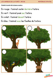 Les animaux de la forêt - Repérage spatial en maternelle : 2eme, 3eme Maternelle - Cycle Fondamental - PDF à imprimer