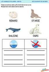 Les animaux de la mer - Découverte du monde : 2eme, 3eme Maternelle - Cycle Fondamental - PDF à imprimer
