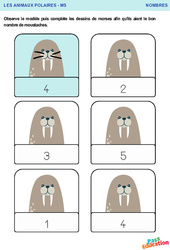 Les morses - Animaux polaires - Nombres : 2eme, 3eme Maternelle - Cycle Fondamental - PDF à imprimer