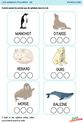 Animaux polaires - Phonologie : 3eme Maternelle - Cycle Fondamental - PDF à imprimer