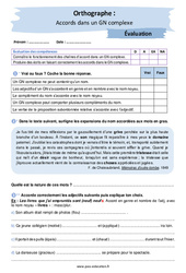 Accords dans un groupe nominal complexe - Examen Evaluation avec les corrigés : 2eme Secondaire - PDF à imprimer